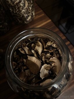 sušené hríby / huby , Suchohríb hnedý a Kozák Topoľový - 5