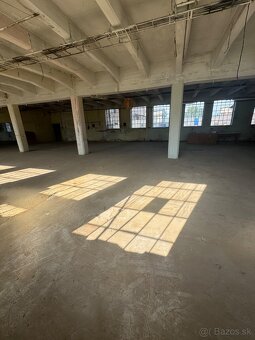Hala/ sklad na prenájom  450m² - 5