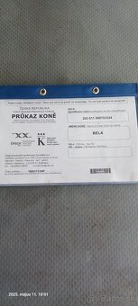 Predám kobyla - 5