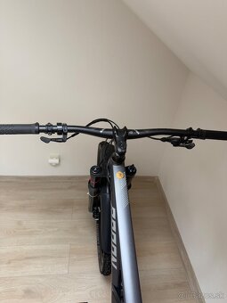 Radon Jealous AL 8.0 HD 29” - 5