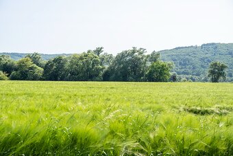 VEĽKÝ POZEMOK S POTENCIÁLOM - KOMÁROV - 5