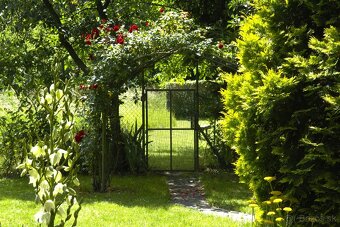 8 árový pozemok s chatou. - 5