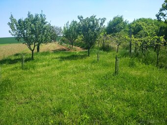 Predám viničný dom, rekreačná lokalita Levice - 5