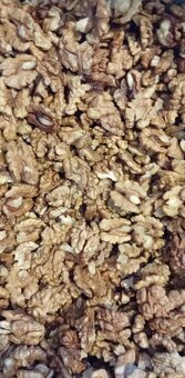 Orechy tohtoročné vlašské - 5