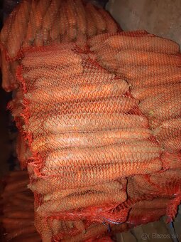 Cerstva Kapusta rezana 0.70€/kg zemiaky 0.53€/kg - 5