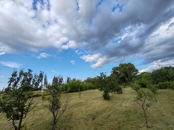 Záhradné služby /úprava zelene - 5