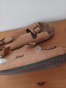 Schol - 5