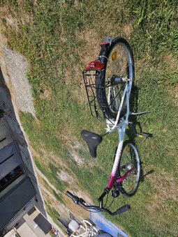 Bicykel-PROPHETE - 5