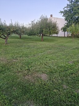 Kosenie trávy už od 0,06€/m² - 5