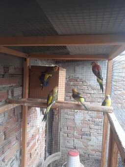 ponúkam na predaj - 5