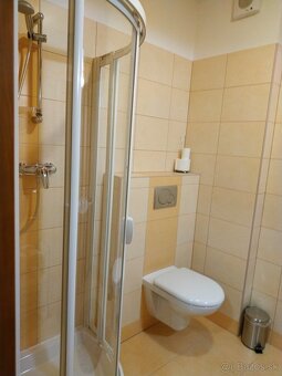 Apartmán 1 izbový byt Hrabovo - 5