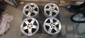 17 palcove disky na peugeot - 5