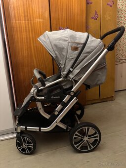 Kocik Gesslein sivy - 5