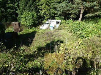 RK EXPRES - na predaj záhrada s chatkou v Novej Lehote. - 5