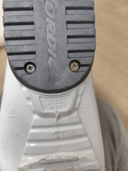 Lyžiarky Nordica - 5