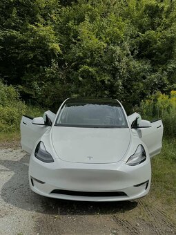 Tesla Model Y Performance 393 kW - 5