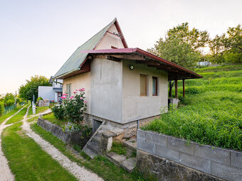 IBA U NÁS Rekreačná chatka - Vinohrady, Nové Mesto n./V. - 5