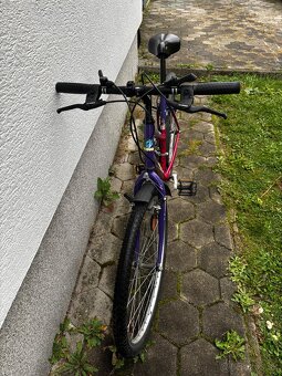 Dámsky bicykel - 5