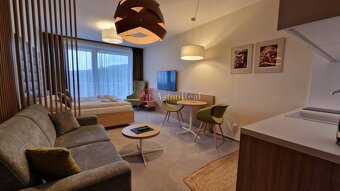 Apartmán HREBIENOK RESORT II. - s výhľadom na Tatry-37,05 s - 5
