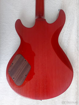 CORT M 600 - 5