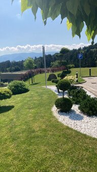 Údržba zelene a budov , kosenie pozemkov - 5