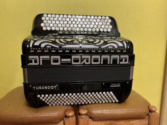 Accordiola - 5