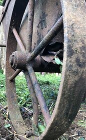 Japonka, kvetináč, dekoracia, záhrada - 5