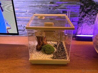 🐜 Predám formikárium s mravcami Camponotus nigrescens - 5