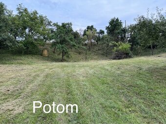 Kosenie veľkých plôch krovinorezom,traktorom,mulčovanie. - 5