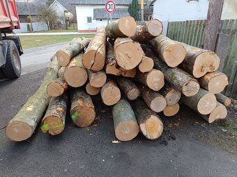 Tvrdé palivové drevo - 5