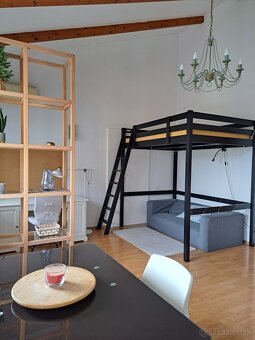 VEĽKÁ IZBA s vysokým stropom - 5