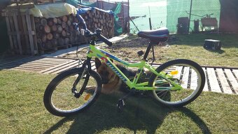 Detský bicykel 20 - 5