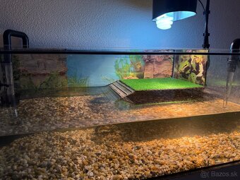 Korytnačka s vybavením - 5