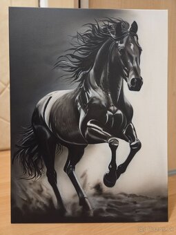Obraz koňa - 5