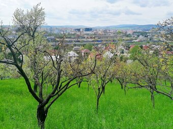 Veľký pozemok Nižná Úvrať, Vyšné Opátske - 5