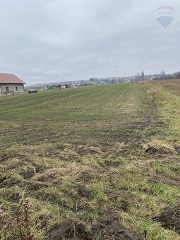 Predaj pozemku na výstavbu vinohradníckeho domu v Skalici - 5
