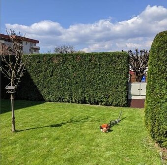 Starostlivosť o zeleň,výrub stromov, pilčícke práce, kosenie - 5