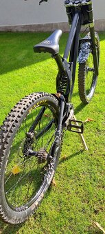 Kellys noid 70 - 5