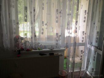 1 izb byt prenajom - 5