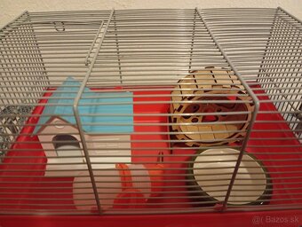 Klietka.Hlodavce - 5