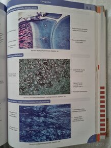 Memorix Histologie (3. vydanie) - 5