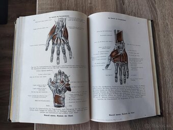 Toldtuv Anatomický atlas - 5