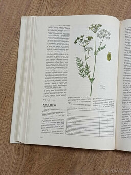 Atlas liečivých rastlín a lesných plodov - 5