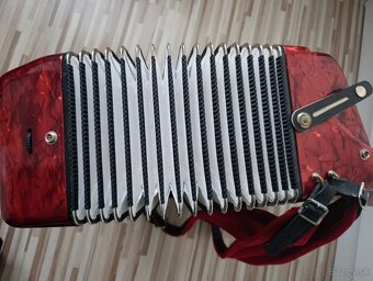 Delicia Carmen 96 basov, Top stav - 5