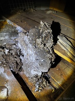 DERATIZÁCIA, DEZINFEKCIA, DEZINSEKCIA - 5