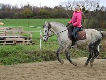 Valach do PRENÁJMU - 5