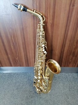 SAXOFÓN PARROT - 5