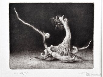 Konstantin Chmutin - 5