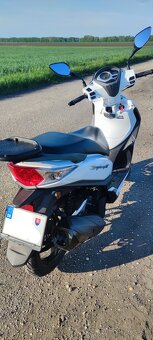 Sym Symphony st 125 Lc Abs - 5