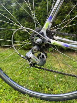 Colnago Tecnos Art Decor - 5